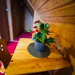 Bukovina Concept Przy Stoku Narciarskim Pensjonat 3*