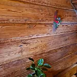 Pensjonat Bukovina Concept Przy Stoku Narciarskim