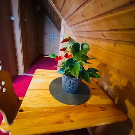 Bukovina Concept Mountain Guest house *