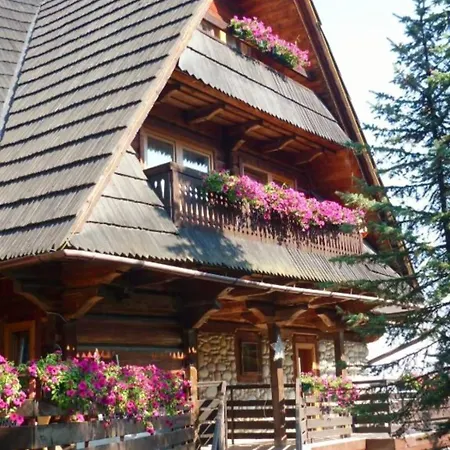 Guest house Bukovina Concept Mountain Bukowina Tatrzanska