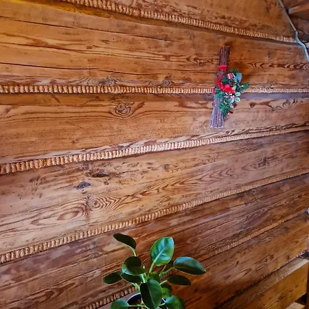 Guest house Bukovina Concept Mountain