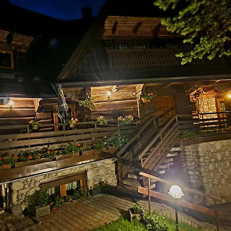 Guest house Bukovina Concept Mountain