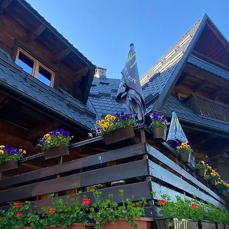 Bukovina Concept Mountain Guest house *