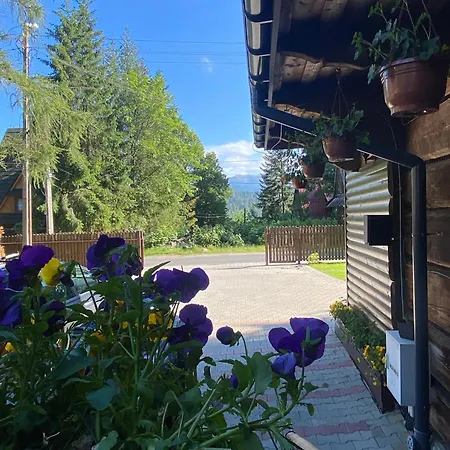 Bukovina Concept Obok Stoku I Basenow Termalnych Gasthof Bukowina Tatrzańska
