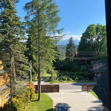 Guest house Bukovina Concept Mountain